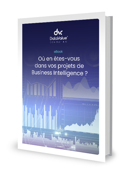 illustration-lp-projet-bi