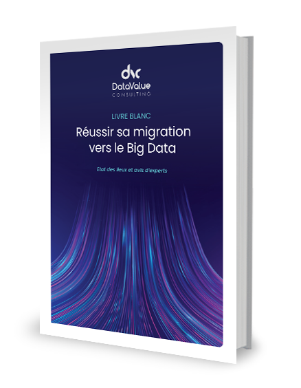 illustration_lp-lb-big-data