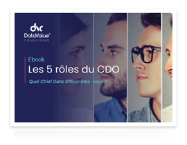 lp_ebook_cdo-1